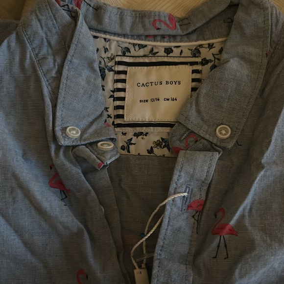 Cactus Boys Blue Flamingo Button Down Shirt - 13/14 - Picture 2 of 3